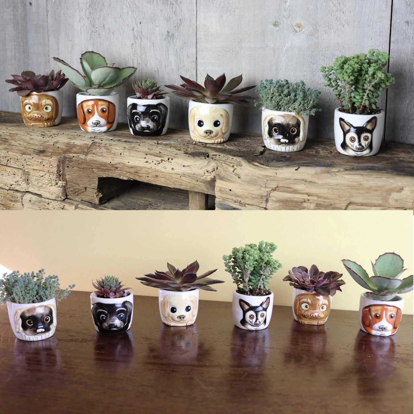 Dog Planters Set of 6 - 3D Cute Animal Plant Pot for Succulents, Flowers