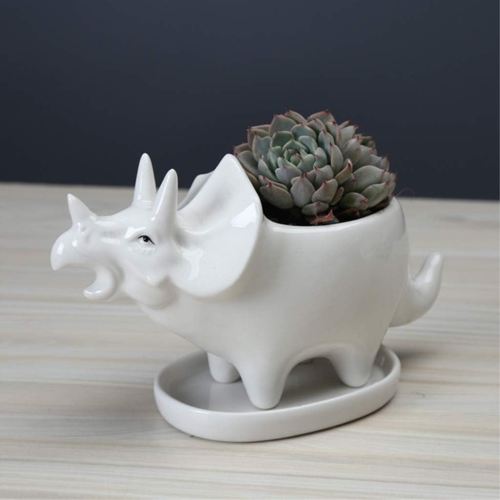 Cute Dinosaur Succulent Planter Pot with Drainage Tray, White Ceramic Cactus/Flower Container, Animal Bonsai Holder for Air Plants