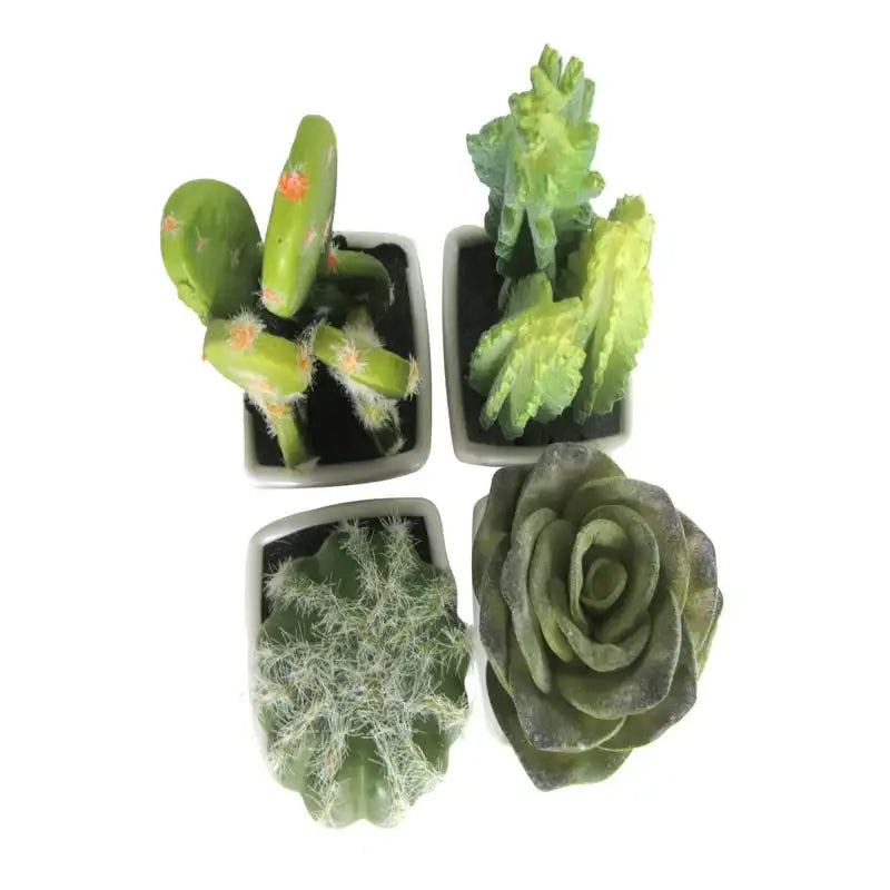 Mini Succulent 3 Kitchen Accessories Крышка Для Микроволноки Food Cover Kitchen Organizer Dish Drying Racks