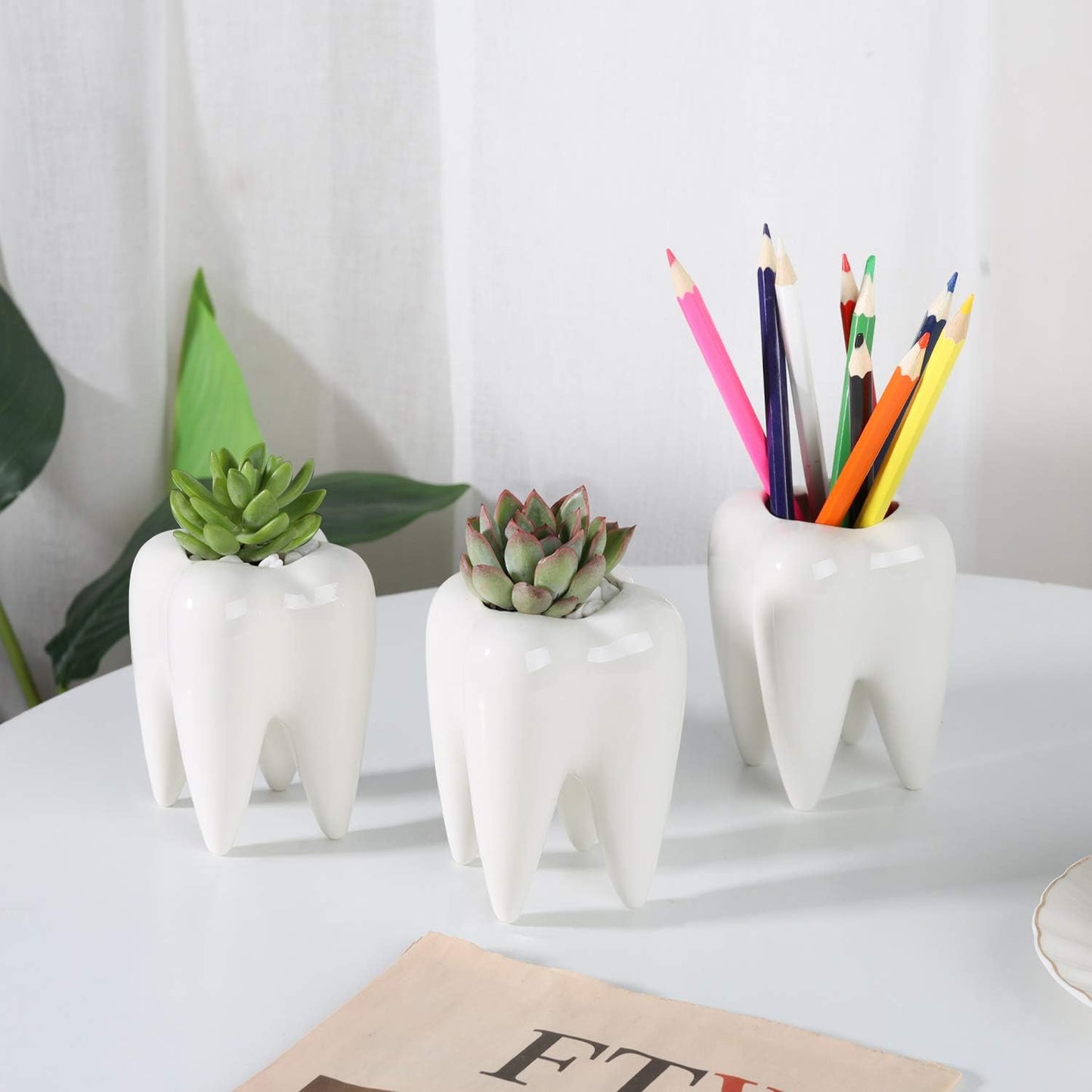 Small Cute Tooth Planter Succulent Pots Teeth Pencil Holder Office Organizer Plant Gift for Dentist Mini White Ceramic Planter Pots for Succulents Herbs Cactus Pack of 3