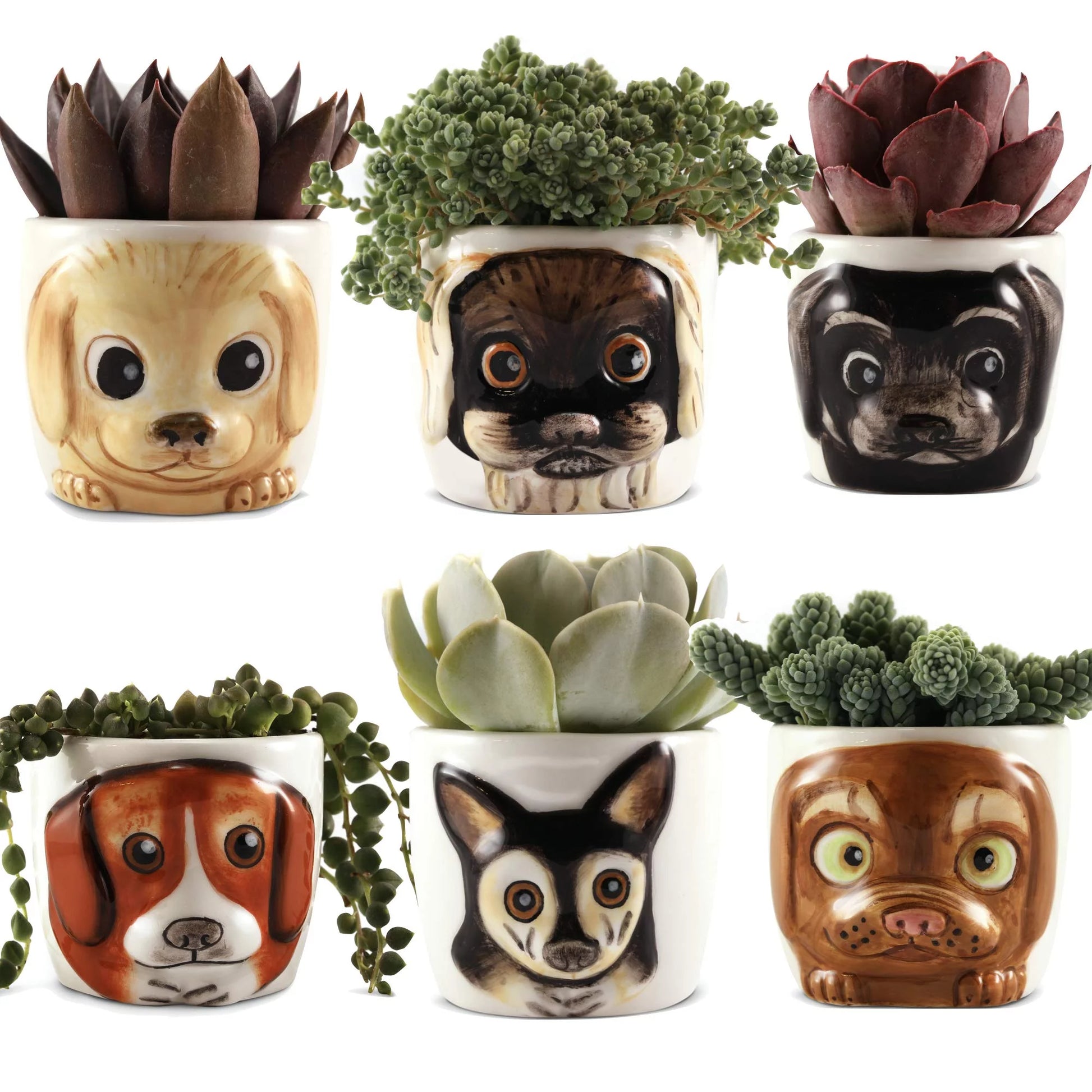 Dog Planters Set of 6 - 3D Cute Animal Plant Pot for Succulents, Flowers