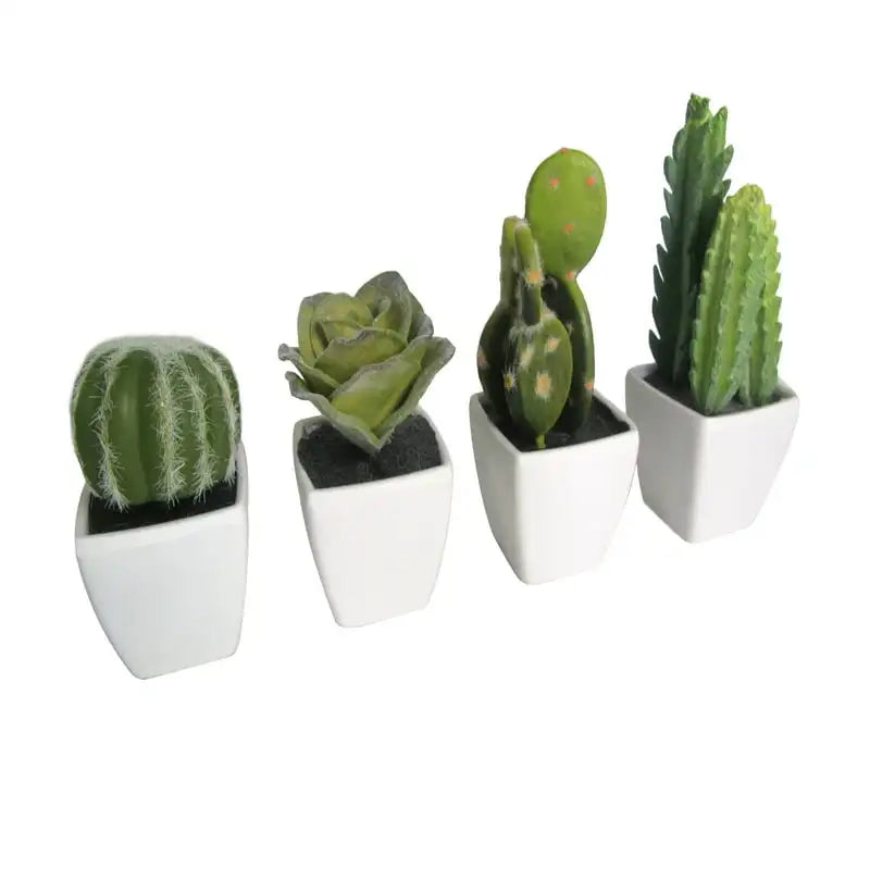 Mini Succulent 3 Kitchen Accessories Крышка Для Микроволноки Food Cover Kitchen Organizer Dish Drying Racks