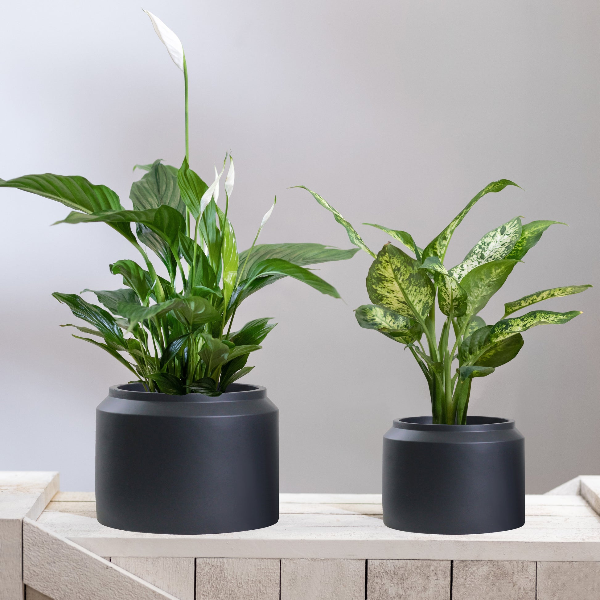 Porto Plant Pots - Matt Black Ceramic Jar Design Plant Pots Indoor & Outdoor Set 2 Planters