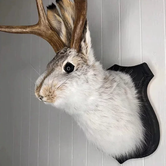 Jackalope Mount Wall Decor,Animal Head Wall Decor,Deer Head Wall Mount,Resin Hanging Wall Art,Wooden Antler Rabbit Head,Simulation Animal Head Specimen,For Home/Office