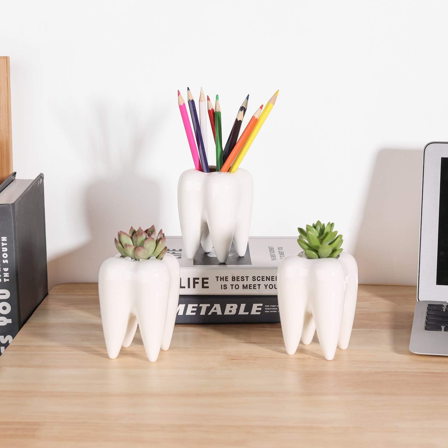 Small Cute Tooth Planter Succulent Pots Teeth Pencil Holder Office Organizer Plant Gift for Dentist Mini White Ceramic Planter Pots for Succulents Herbs Cactus Pack of 3