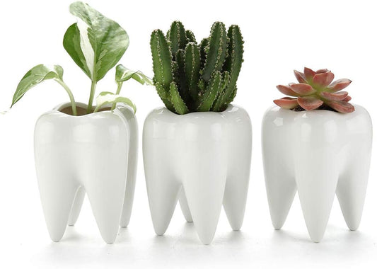 Small Cute Tooth Planter Succulent Pots Teeth Pencil Holder Office Organizer Plant Gift for Dentist Mini White Ceramic Planter Pots for Succulents Herbs Cactus Pack of 3