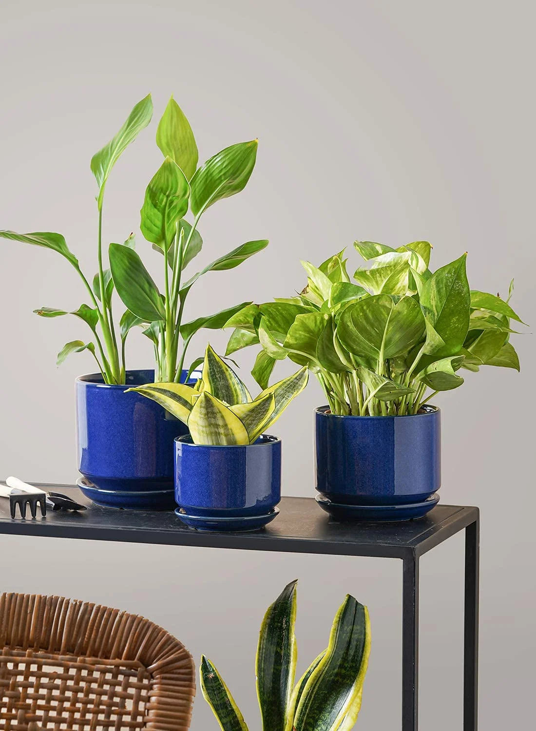 Ceramic Plant Pots, 4.3"+5.3"+6.8" Flower Pots with Drainage Hole & Saucer, Pack of Three Planter, Sapphire Blue