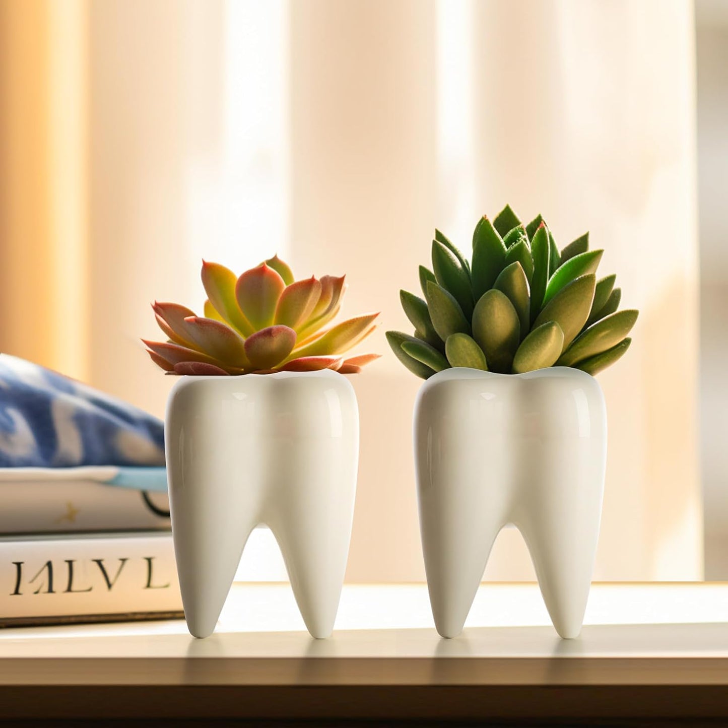 Small Cute Tooth Planter Succulent Pots Teeth Pencil Holder Office Organizer Plant Gift for Dentist Mini White Ceramic Planter Pots for Succulents Herbs Cactus Pack of 3