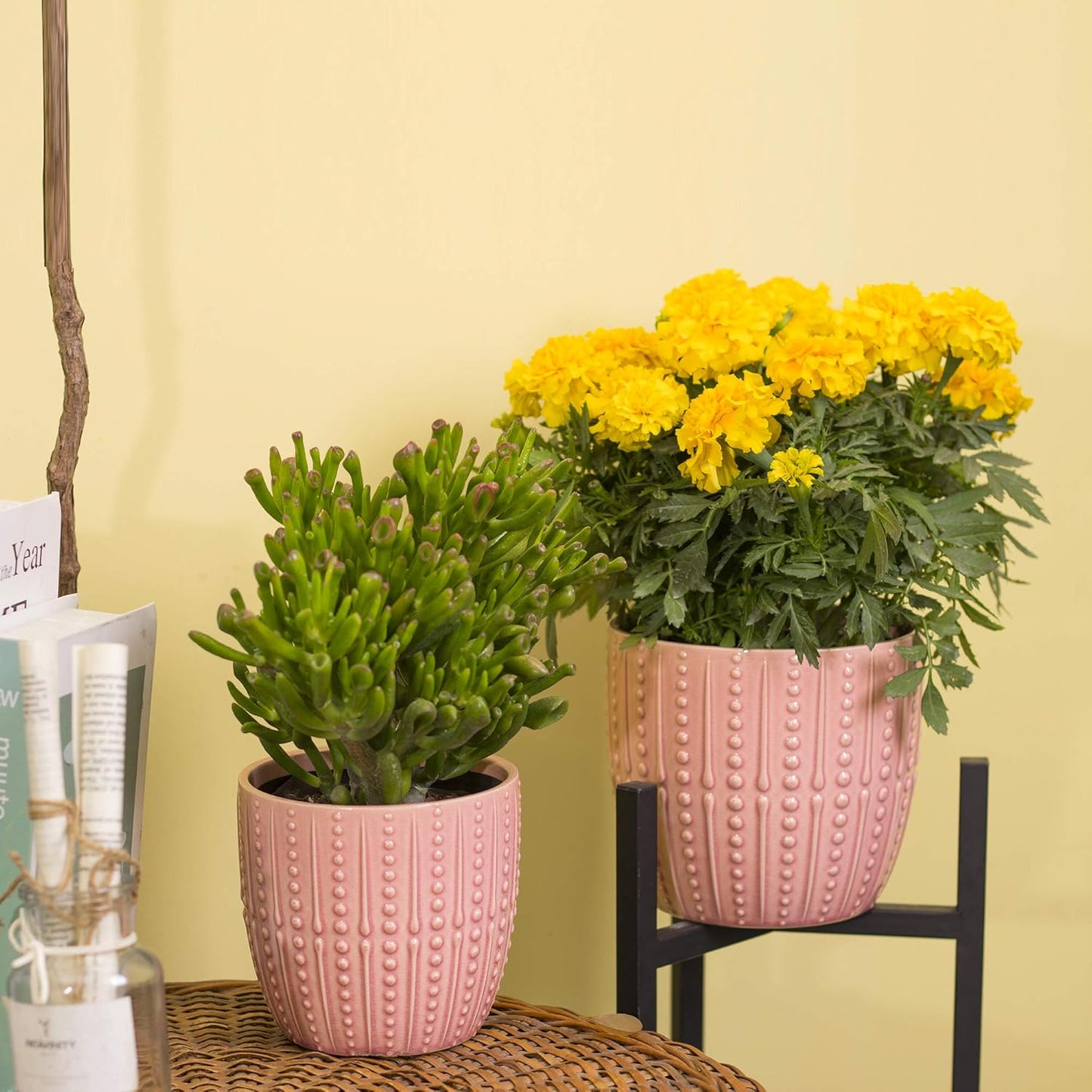 Ceramic Plant Pot - 6.5" and 5.5" Indoor Planters with Drainage Holes (Pink)