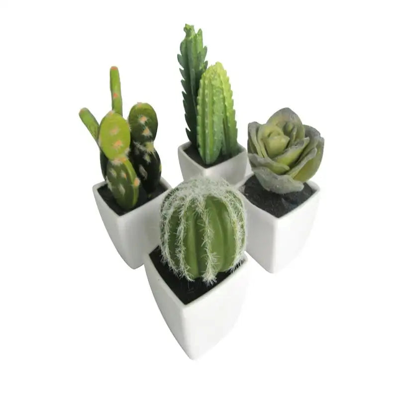 Mini Succulent 3 Kitchen Accessories Крышка Для Микроволноки Food Cover Kitchen Organizer Dish Drying Racks