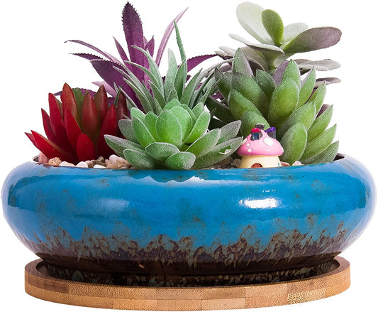 Succulent Pots - 7.3 Inch Large Succulent Planters with Drainage Ceramic Bonsai Pots with Bamboo Tray, Shallow Planters for Indoor Cactus Plants Decorative Flower Plant Container