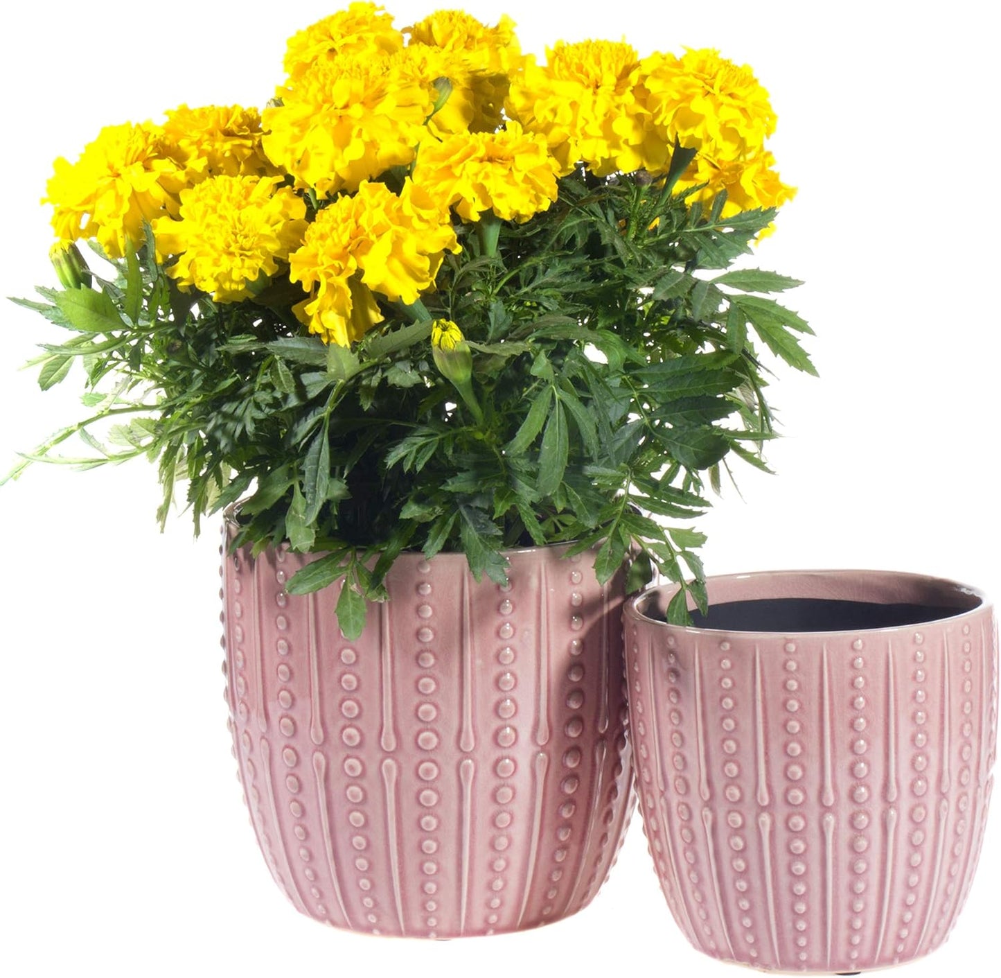 Ceramic Plant Pot - 6.5" and 5.5" Indoor Planters with Drainage Holes (Pink)